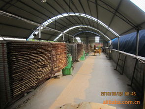 建筑建材 構(gòu)筑現(xiàn)代文明的基石